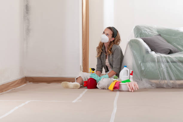 Reliable Mold Cleanup contractor in Harrisburg, IL by Cheap Mold Removal